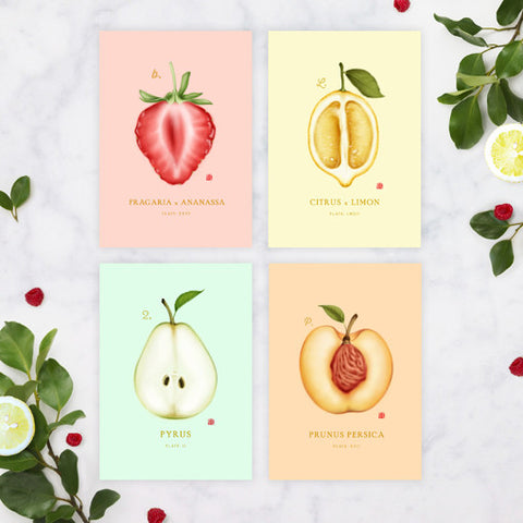 Fresh and Fruity - Greeting Card Set