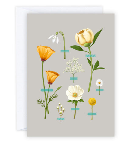 Wallflowers Greeting Card
