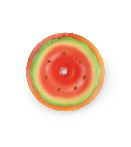 Watermelon Donut Magnet