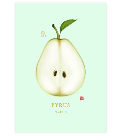 Pear Print