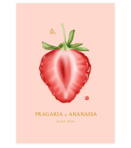 Strawberry Art Print