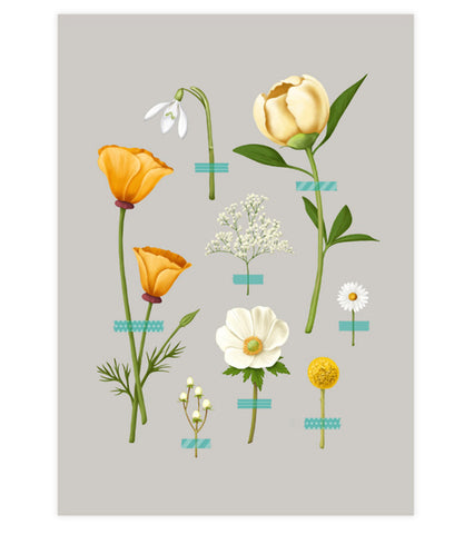 Wallflowers Art Print