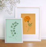 Fig.1 Eucalyptus Art Print