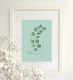 Fig.1 Eucalyptus Art Print