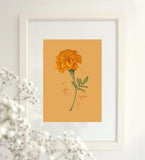 Fig.7 Marigold Art Print