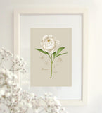 Fig.8 Peony Art Print