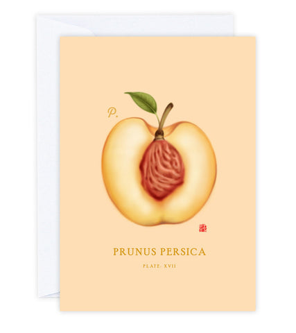 Peach Greeting Card