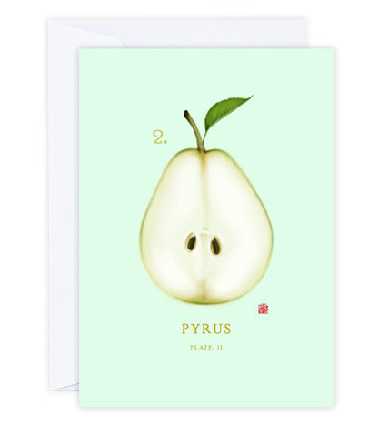 Pear Greeting Card
