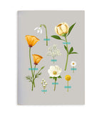 Wallflowers Notebook