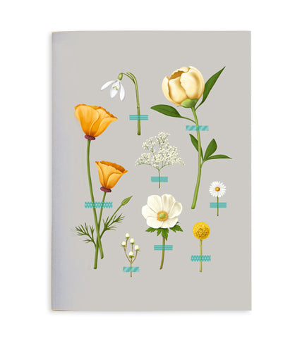 Wallflowers Notebook