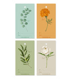 Botanical Collection II Gift Tags