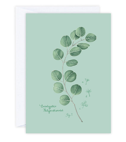 Fig.1 Eucalyptus Greeting Card