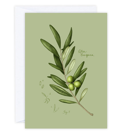 Fig.3 Olive Leaves Greeting Card
