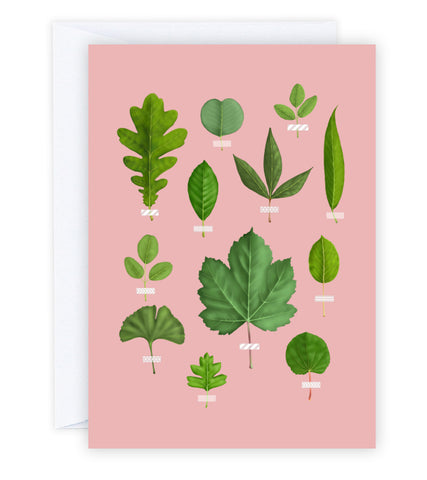 Leaf Collection Greeting Card