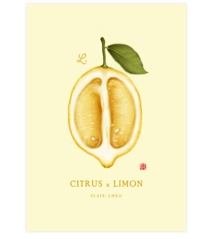 Lemon Greeting Print