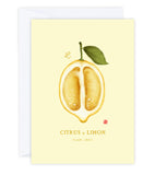 Fresh and Fruity - Greeting Card Set