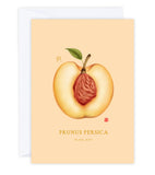 Fresh and Fruity - Greeting Card Set