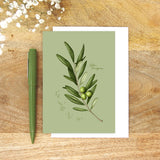 Fig.3 Olive Leaves Greeting Card