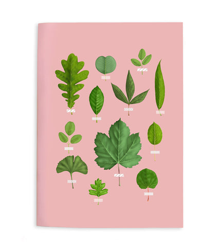 Leaf Collection Notebook