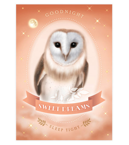 Sweet Dreams Owl Art Print